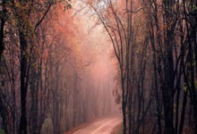 欧冠半决赛战绩公布，实力悬殊明显