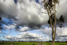 巴黎圣日耳曼中场球员因伤无缘下赛