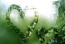 巴黎圣日耳曼中场球员因伤无缘下赛