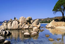 巴黎圣日耳曼中场球员因伤无缘下赛