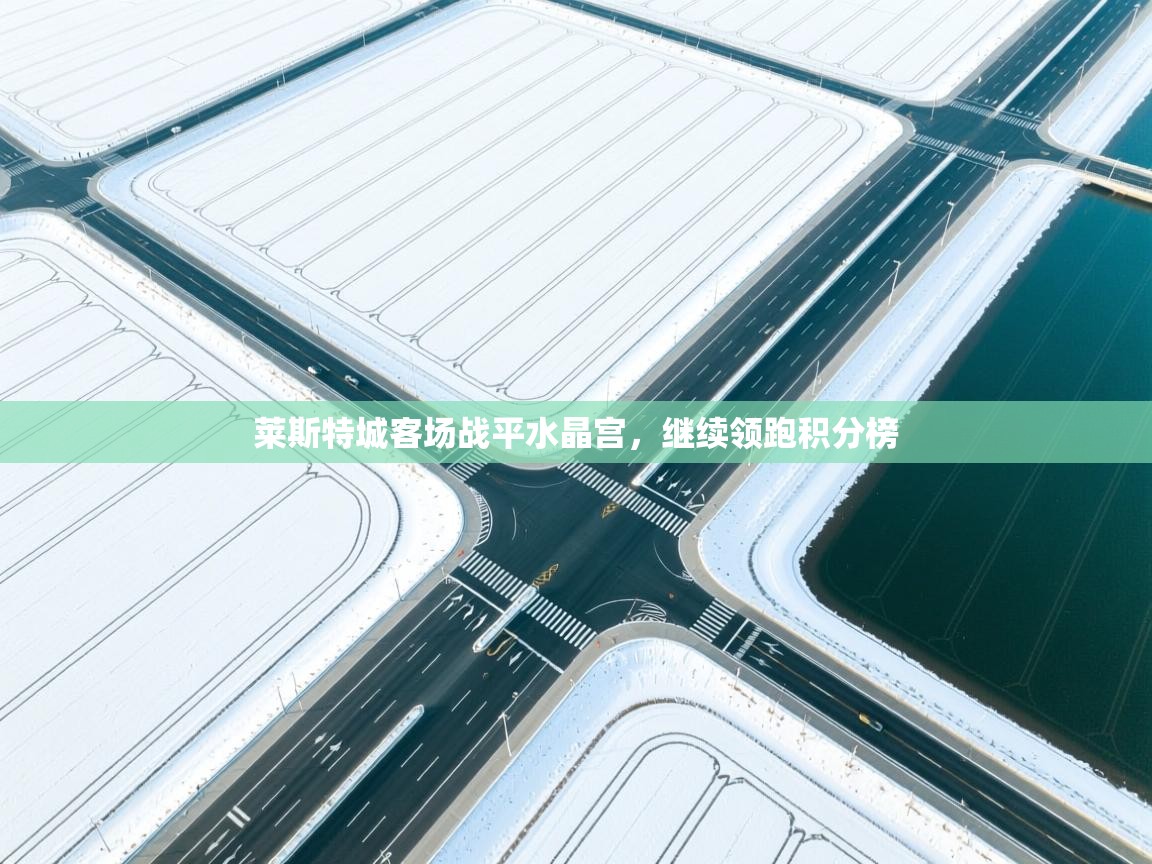 莱斯特城客场战平水晶宫,继续领跑积分榜 第2张