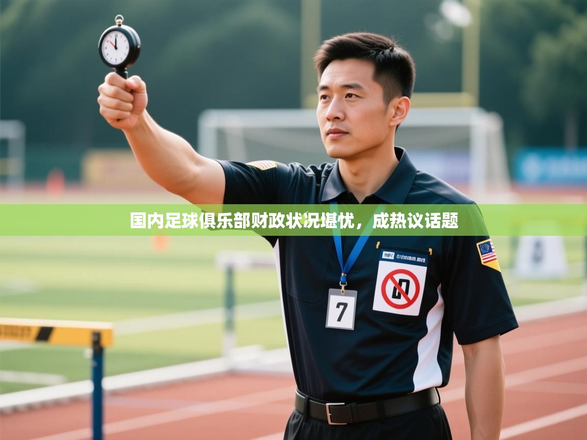 国内足球俱乐部财政状况堪忧,成热议话题 第1张