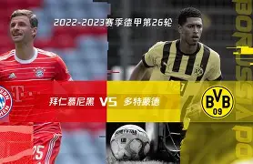 拜仁慕尼黑展开新一轮对阵，备战齐心协力的简单介绍